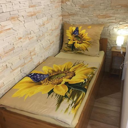 Apartmán Slunečnice s terasou Ceske Budejovice Esterno foto