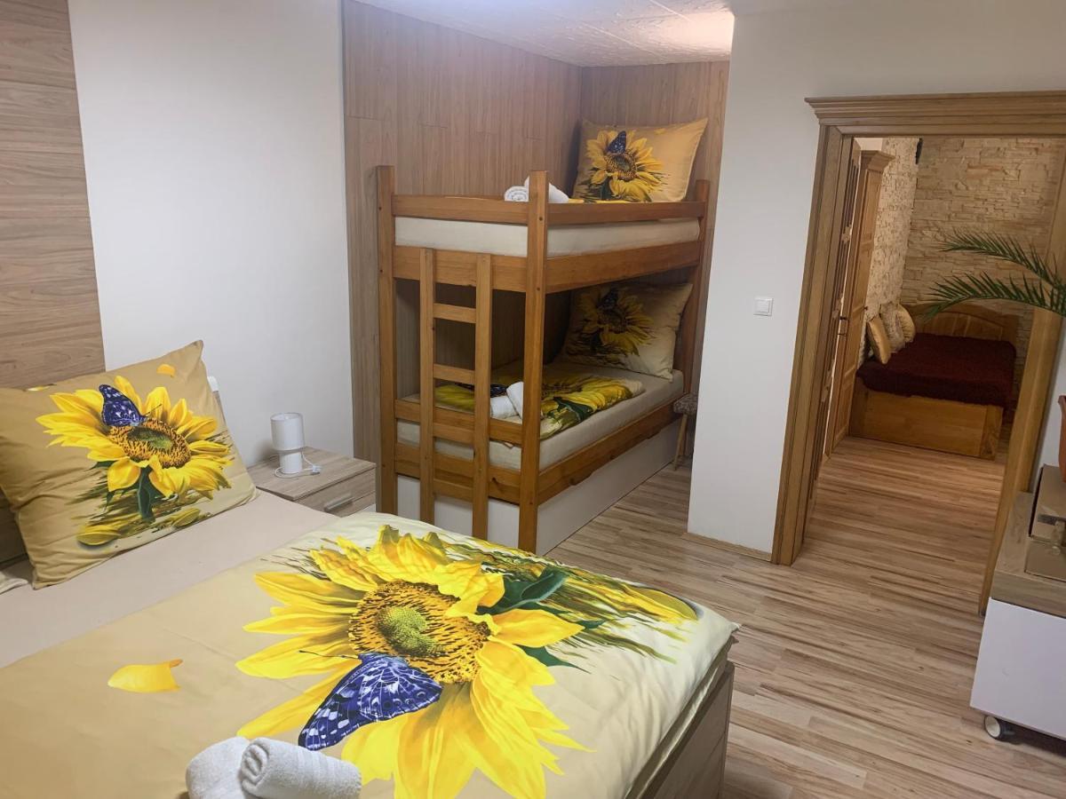 Apartmán Slunečnice s terasou Ceske Budejovice Esterno foto