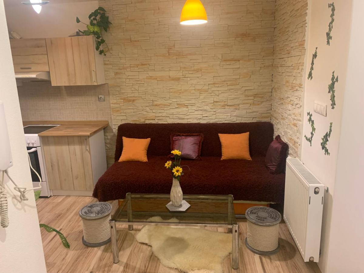 Apartmán Slunečnice s terasou Ceske Budejovice Esterno foto