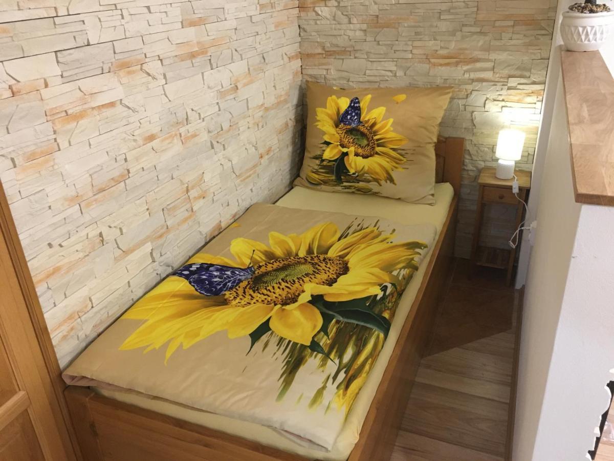Apartmán Slunečnice s terasou Ceske Budejovice Esterno foto