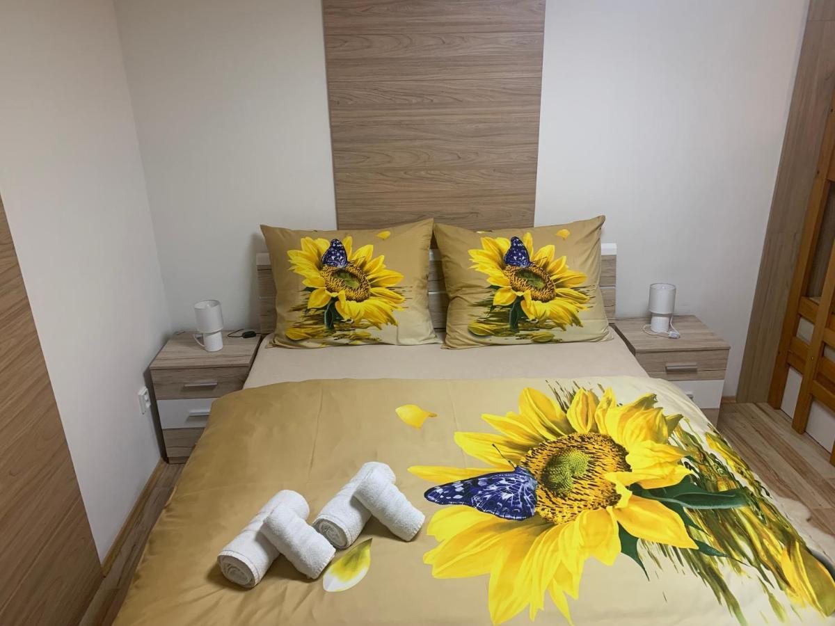 Apartmán Slunečnice s terasou Ceske Budejovice Esterno foto