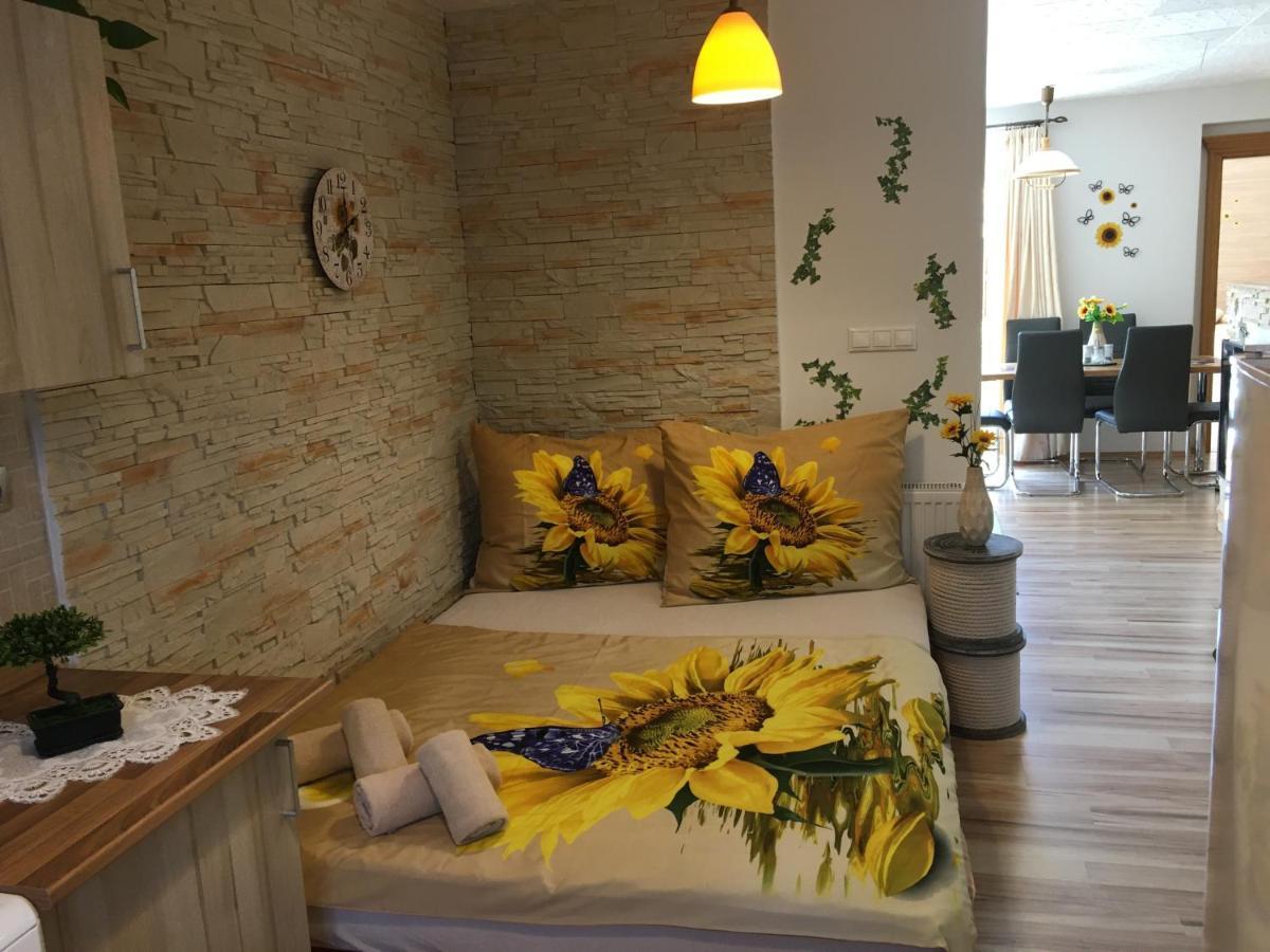 Apartmán Slunečnice s terasou Ceske Budejovice Esterno foto