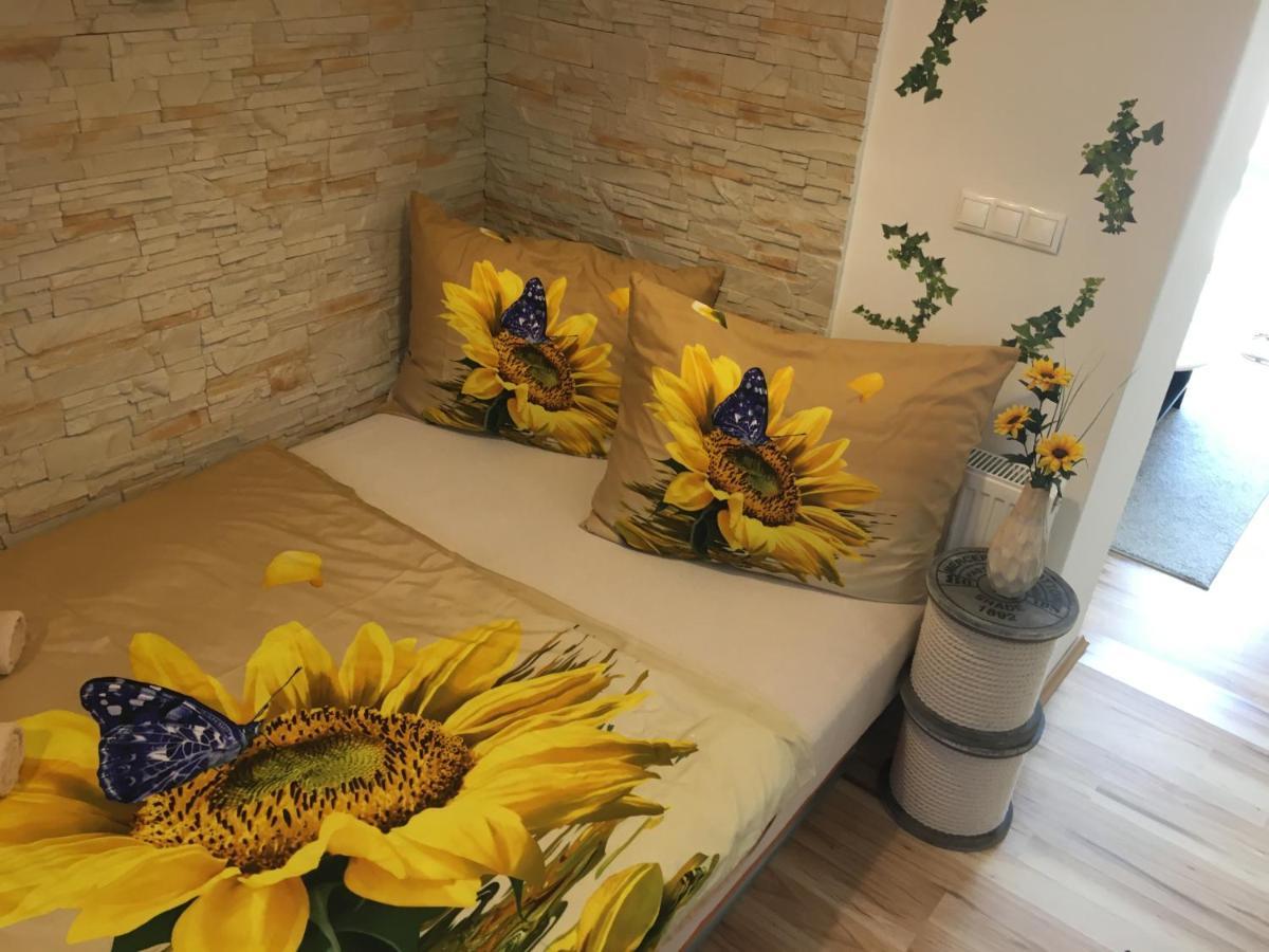 Apartmán Slunečnice s terasou Ceske Budejovice Esterno foto